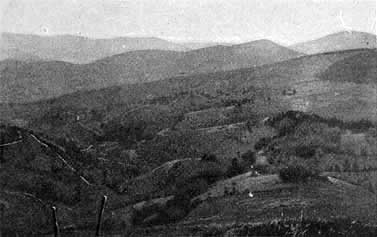 Secteur du Linge vue vers SULZEREN