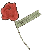 Premier coquelicot