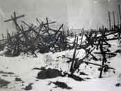 The Battle of the Linge, system of barbed wire at Barrenkopf in 1916