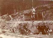 Crew of alaska dogs on 60 cm railroad - Camp at Collet - May 16, 1918