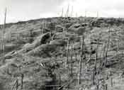 The Battle of the Linge, Reichackerkopf the summit in 1919