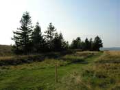 Champ de bataille du Linge, voie du tortillard au Tanet