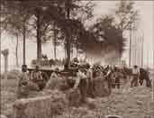 Grande Guerre, vie quotidienne, travaux des champs par des soldats Néo-Zélandais